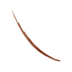 revlon colorstay semi permanent brow ink waterproof eyebrow enhancer gel warm brown ink 0 09 fl oz 7572a118 ee2e 436d b203 71d173b5a761.25c602b6325e75210855f66066ab83f6.jpeg